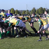 DSCN0423.JPG