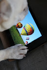 Better yet!  I'll just push the button and change the photo.  Hot air balloons are much more pleasant to look at.