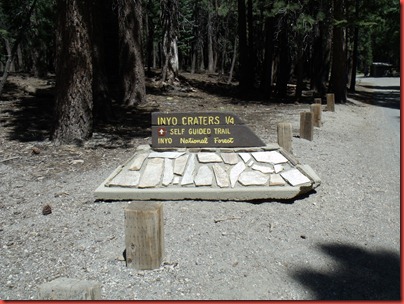 mammoth 103