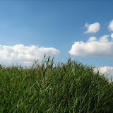 IMG_2405.JPG
