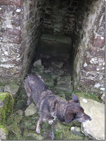 bruno guards the privy