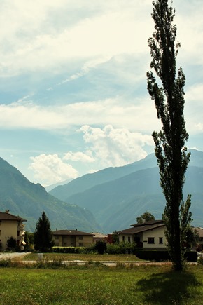 IMG_0218 IMG_0218