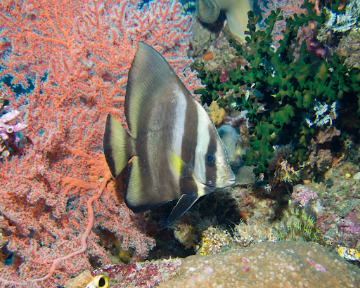 P7024174