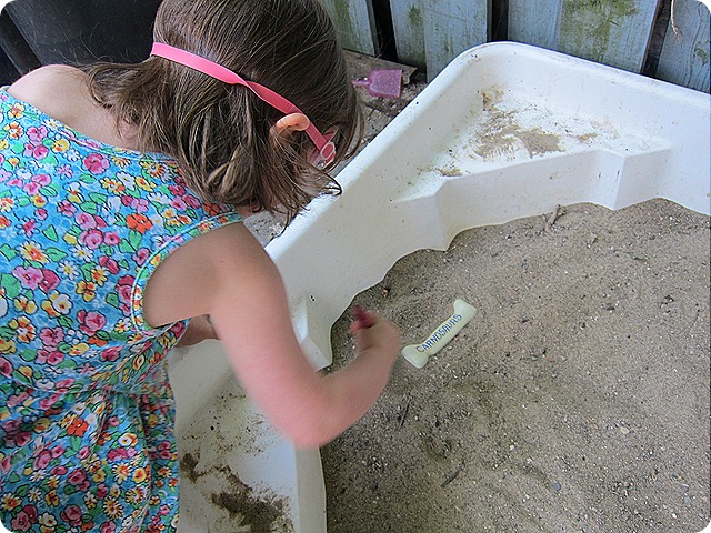 IMG_0553 IMG_0553