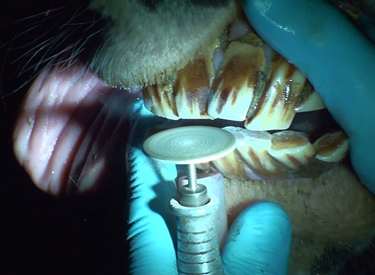 [20141114125651-%25281%2529%255B3%255D.jpg]