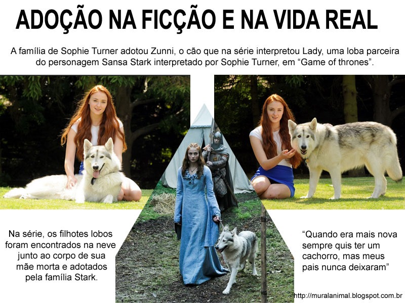 [adocao-lady%255B3%255D.jpg]