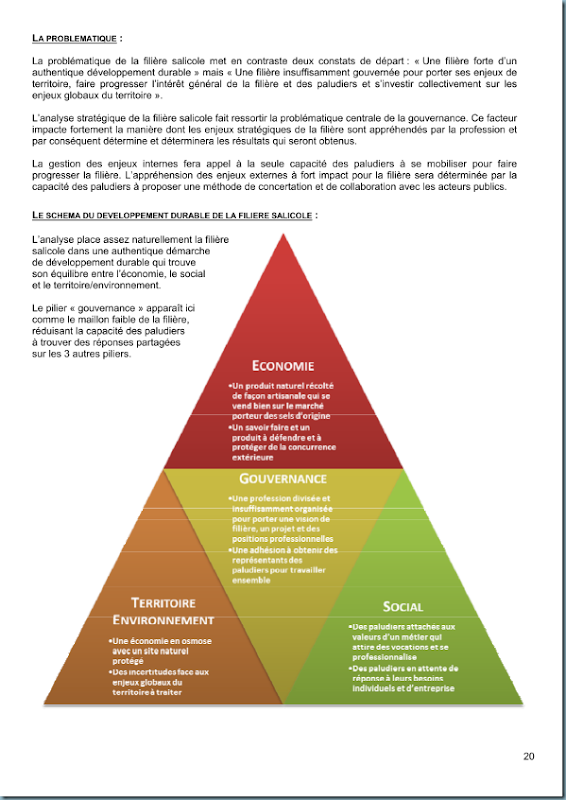 diagnostic_salicole_ca44_2011_page_021 diagnostic_salicole_ca44_2011_page_021