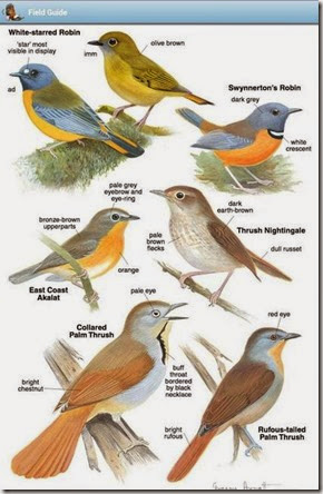 roberts_field_guide roberts_field_guide