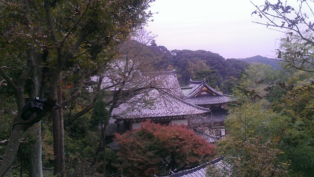 [IMAG04793.jpg]