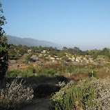 Santa Barbara Hashing Pics - The Road to Hills - Sheffield Reservoir