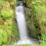 dsc_0446.jpg