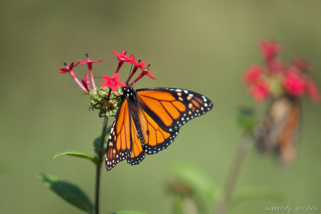 [20121215-IMG_3737%255B11%255D.jpg]