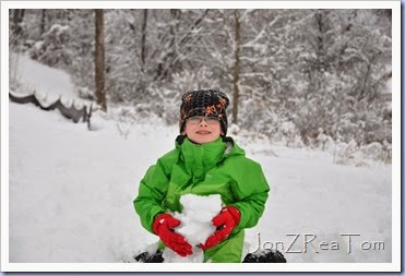 DSC_0105 DSC_0105