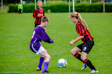 20140614 - WVV D4 - BATO TOERNOOI - 009.jpg