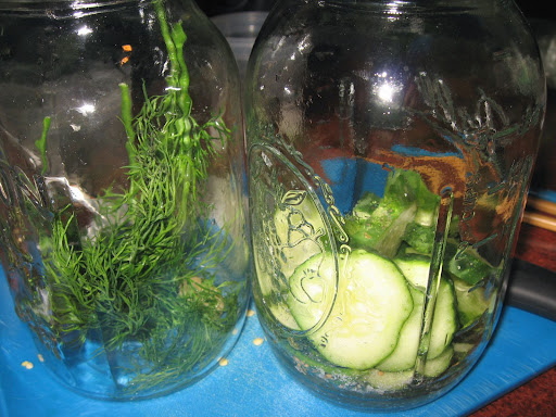 I began to fill my jars with dill, garlic, salt and a few cucumbers.