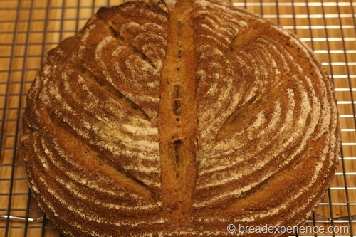 [einkorn-bread-sponge297.jpg]