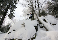 IMG_7460.jpg Photo