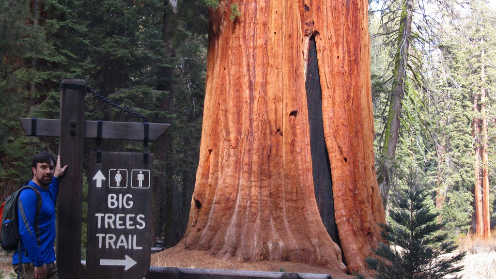 [Sequoia%2520NP5-8%2520Jan%25202012%255B6%255D.jpg]