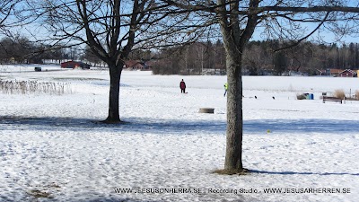 IMG_4610.JPG