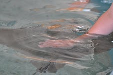 DSC_0167.JPG
