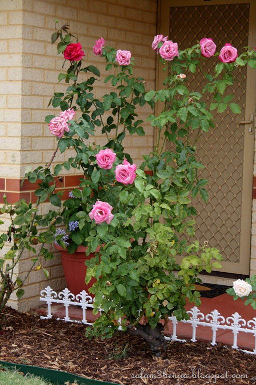 [IMG_4457%255B9%255D.jpg]