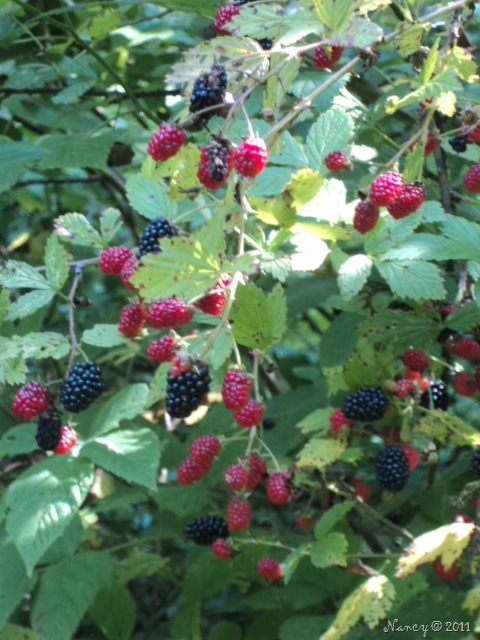 [DSC028787.jpg]
