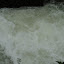DSC05797.JPG