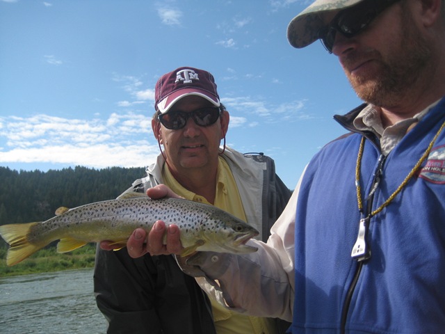 [Browntrout2.jpg]