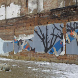 coshocton crow project