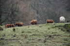 DSC_0027 DSC_0027