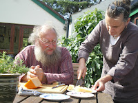 Organic Cheese Dairy
