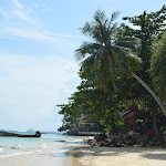 DSC_0450.JPG