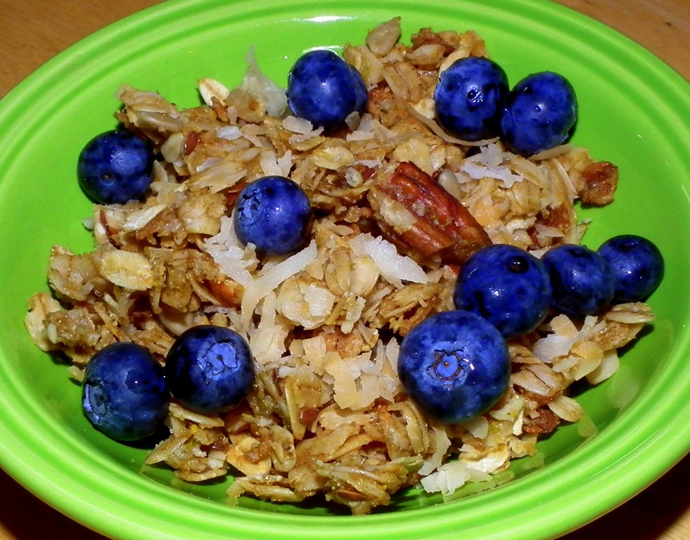 [Coconut%2520Lime%2520Granola%2520with%2520Pecans%255B9%255D.jpg]