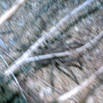 IMAG0317.jpg