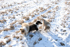 _DSC0036.JPG