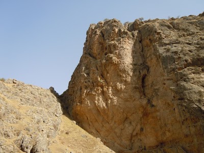 DSCN3958.jpg