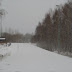IMGP9510.JPG