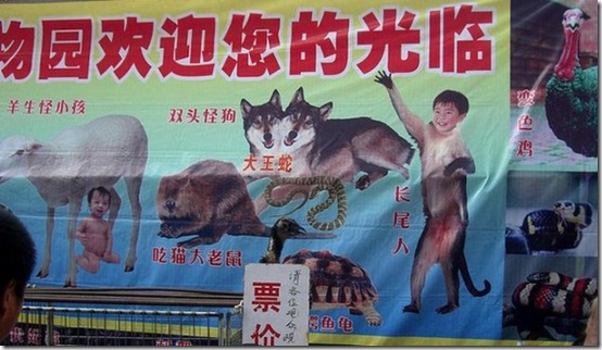 china-mean-while-c63e5f