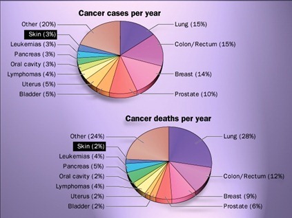 Cancer cases & death per year--skin