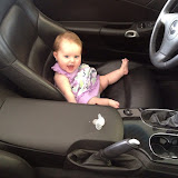 Stella learns to drive