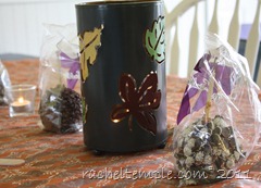 thanksgiving2011 037