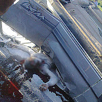 1---foto0103.jpg