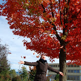 Herbst 2008