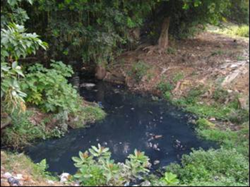 Sewage entering the River Sal in Goa, India. A gutter carrys raw sewage into the River Sal; the color shows the level of pollution. ksidharth / cj.ibnlive.in.com
