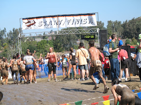 Picture 015.jpg