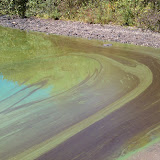 IMAG0019.jpg