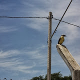 DSC06799.JPG
