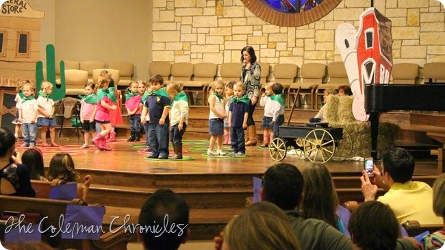 IMG_1533 IMG_1533