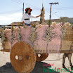 DesfiledeCarrosdeBois2011-045.jpg