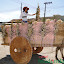 DesfiledeCarrosdeBois2011-045.jpg